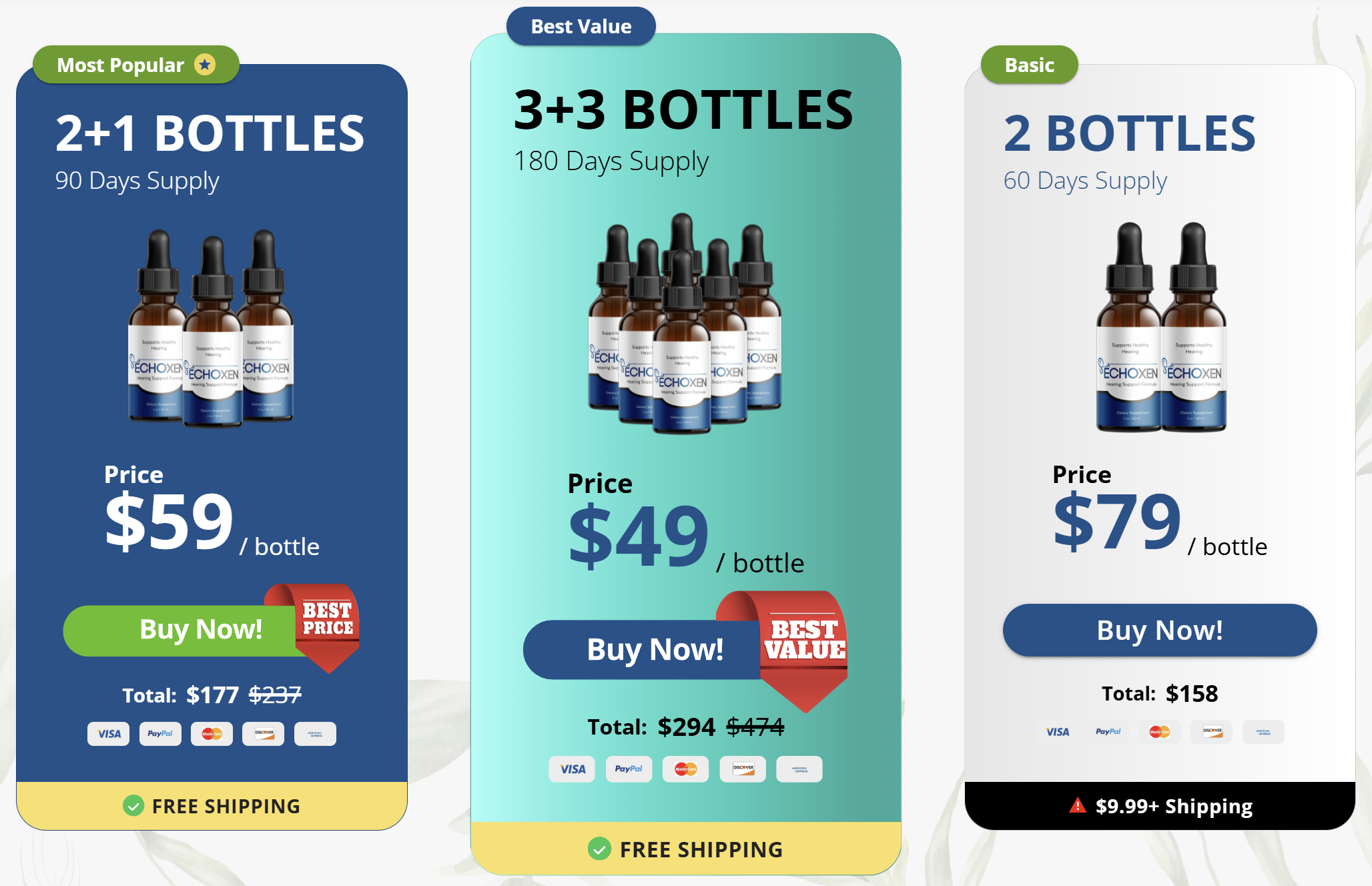 EchoXen Pricing